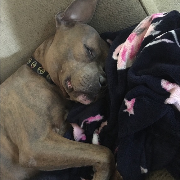 Meet your Posher, Cameron - Picture 2 of 16